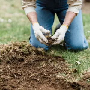 Tuinhandschoenen