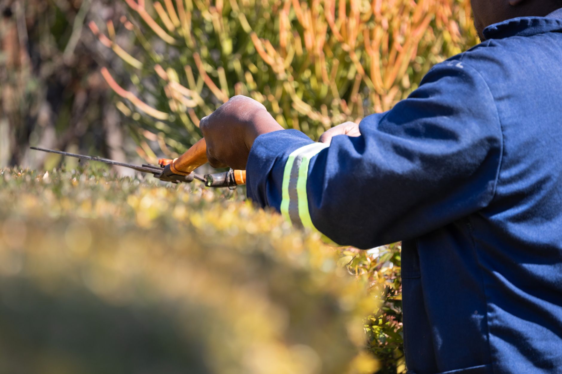 Hovenier in Deventer voor uw tuin